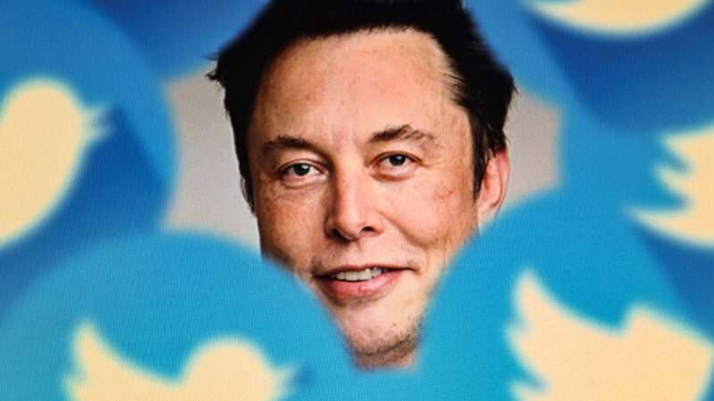A picture of Elon Musk surrounded by the Twitter bird logo