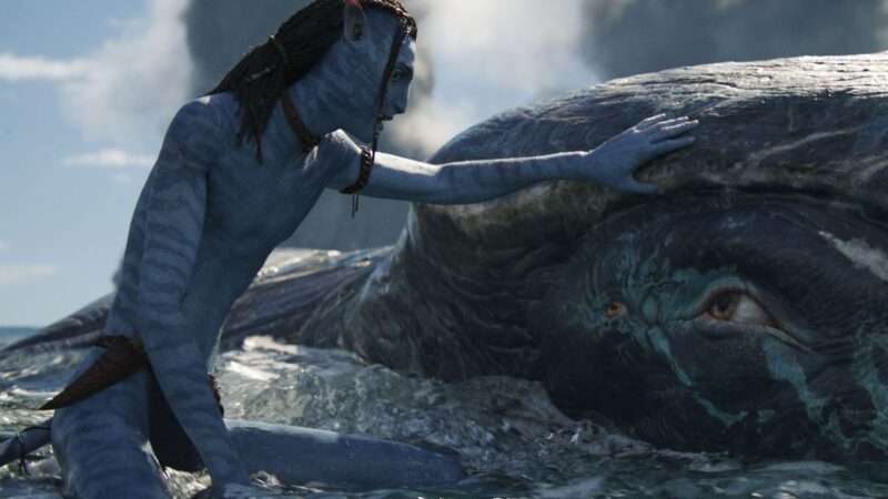 James Cameron's ‘Avatar: The Way of Water’ is a can-you-believe-it spectacle that looks to the future. | 20th Century Studios