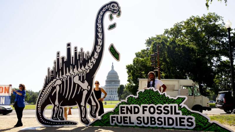 Protesters hold a large cutout of a dinosaur skeleton with dollar bills falling out of its mouth, next to a sign reading "END FOSSIL FUEL SUBSIDIES," on the National Mall with the U.S. Capitol in the background. | Sipa USA/Newscom