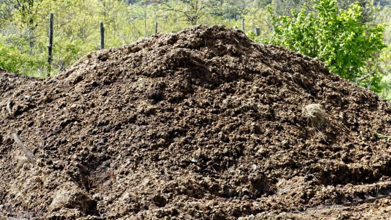 A pile of manure on a farm. | Leon Viti | Dreamstime.com