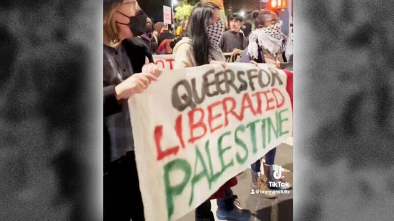 Protesters at a "Queers for Palestine" march in New York City |  Screenshot, TikTok