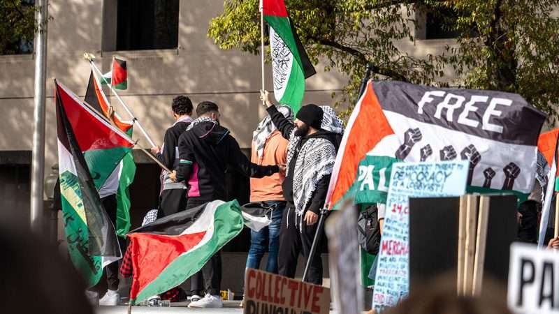 A pro-Palestine demonstration | Photo: Sabih Jafri/Alamy