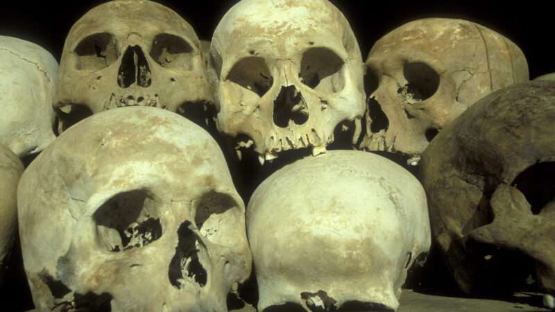 Skulls at the museum of the killing fields of the red Khmer or khmer rouge outside the city of Phnom Penh of Cambodia. Cambodia, Phnom Penh |  DPST/Newscom