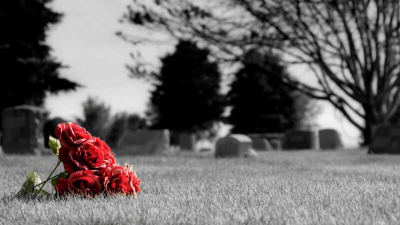 A vibrant red bouquet of flowers on the ground against a greyscale cemetery backdrop. | Alptraum | Dreamstime.com