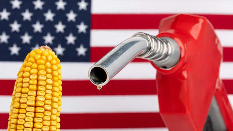 An ear of corn and a gas pump dripping gasoline, against the backdrop of the American flag. | Jj Gouin | Dreamstime.com