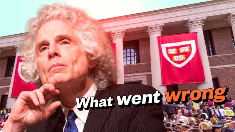 Steven Pinker outside of Harvard's campus | Illustration: Lex Villena