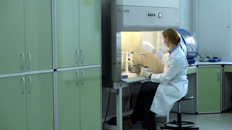 A female scientist works at a lab station, testing DNA. | Vladgalenko | Dreamstime.com