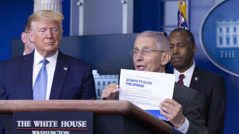 Anthony Fauci and Donald Trump at a White House briefing | STEFANI REYNOLDS/UIPI/Newscom