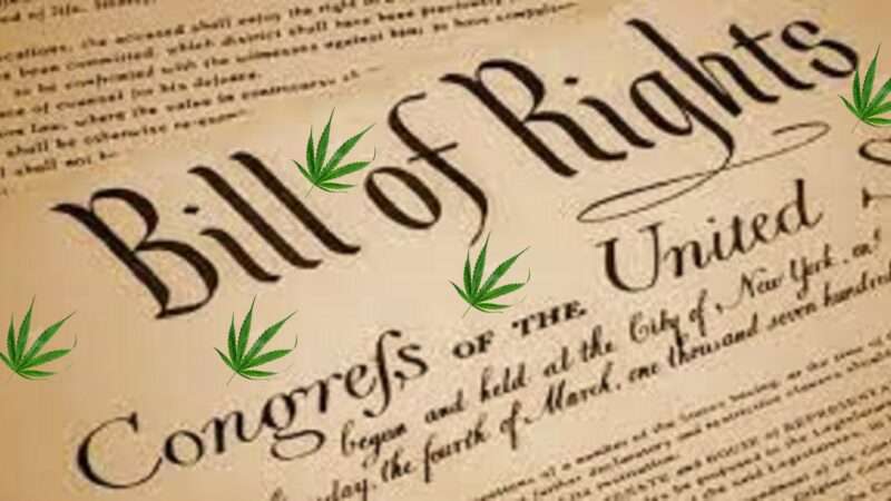 Cannabis leaves superimposed on the Bill of Rights | JZS