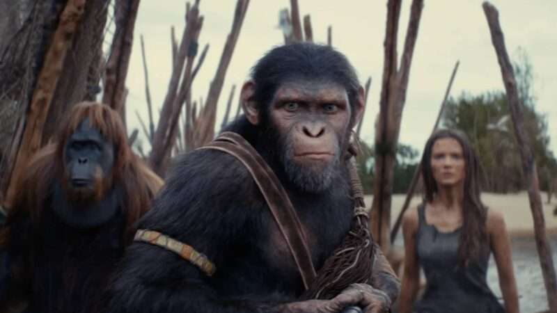 Scene from ‘Kingdom of the Planet of the Apes’ | 20th Century Studios