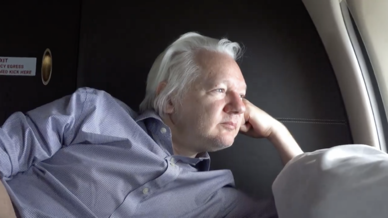Julian Assange | Screenshot from video shared on X by Wikileaks