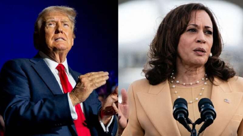 Donald Trump and Kamala Harris | AFP / GDA Photo Service/Newscom