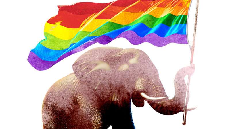 An illustration of an elephant holding a rainbow gay pride flag in its trunk | Illustration: Joanna Andreasson