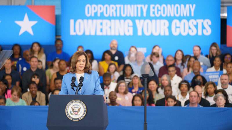 Vice President Kamala Harris speaks at a campaign event in Raleigh, North Carolina, in front of a blue banner that says 