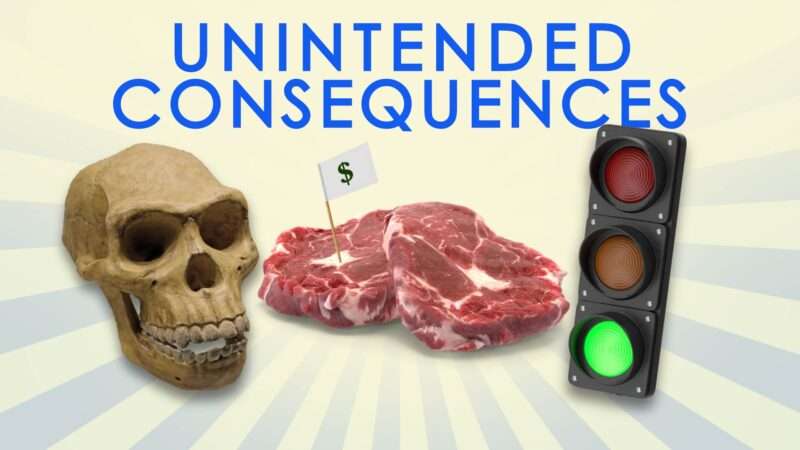 Unintended consequences logo with skull, meat, and traffic light | reasontv