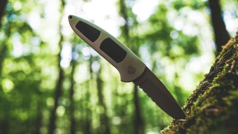 A knife sticking out of a tree log at a 45-degree angle, with a green forest background. | Photo by <a rel=