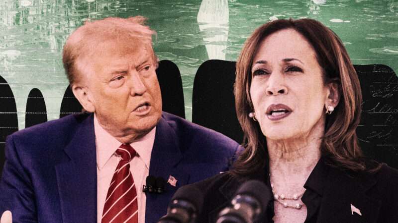 Donald Trump and Kamala Harris in front of a green swamp | Illustration: Lex Villena; Jim LoScalzo - Pool via CNP, John Wollwerth, Brian Cassella/TNS/Newscom, Martiapunts | Dreamstime.com