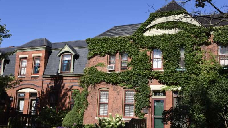 Dutch Colonial row houses in Chicago. | Jim Roberts | Dreamstime.com