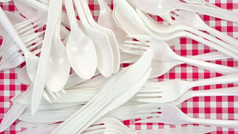 A pile of white plastic cutlery—forks, knives, spoons—on a red and white picnic table. | Bert Folsom | Dreamstime.com