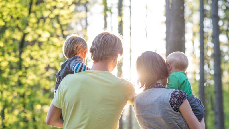 A mom and a dad walk through the woods, each of them holds a child and everyone has their back to the camera | ID 53719860 | Baby © Gajus | Dreamstime.com