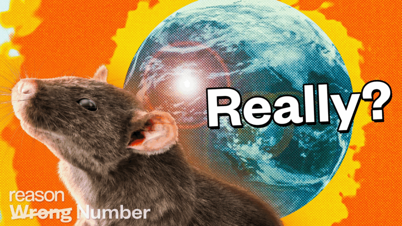 A rat in front of a picture of the earth, with "Really?" next to it. | Adani Samat
