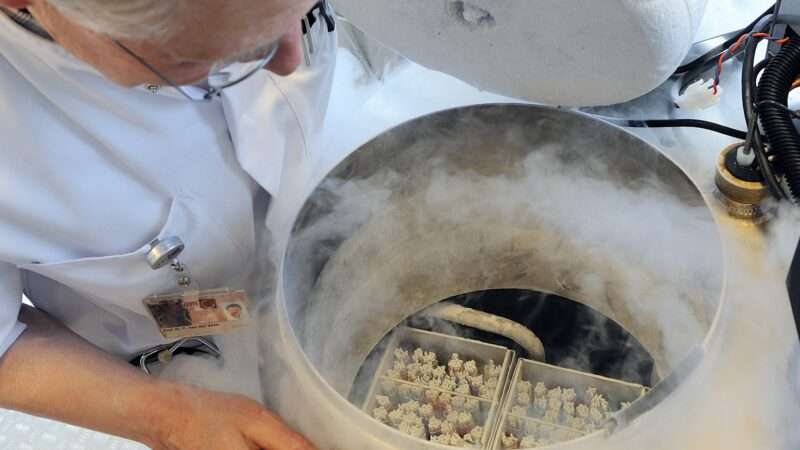 Scientist freezing eggs | Lex van Lieshout/ANP/Newscom