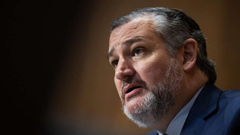 Profile angle photo of Sen. Ted Cruz's bearded face. | Tom Williams/CQ Roll Call/Newscom