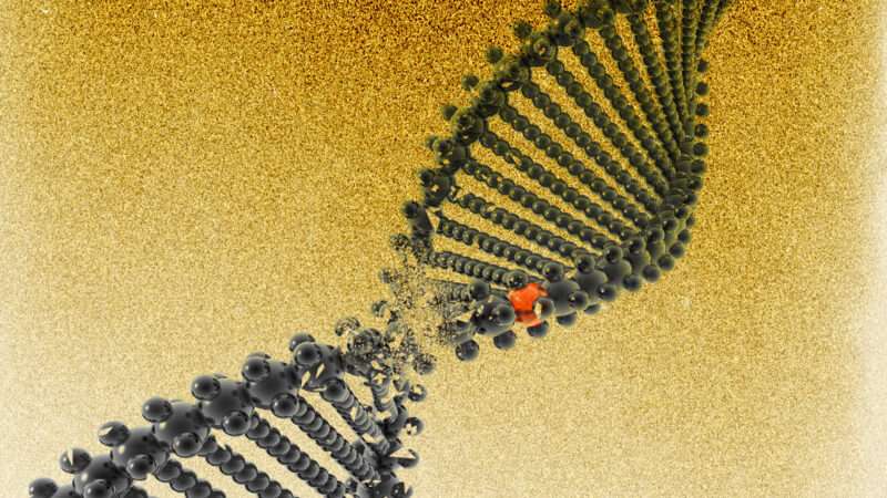 Strand of DNA | Illustration: Eddie Marshall | Putnik | Dreamstime.com