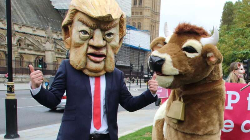 Person wearing Trump mask standing next to person wearing cattle costume | Keith Mayhew/Landmark Media / Landmark Media/Newscom