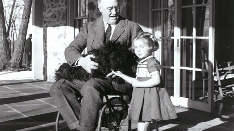 Franklin Roosevelt sitting in a wheelchair with a dog on his lap and a young girl at his side | Photo: President Franklin Roosevelt, 1941; CBW/Alamy