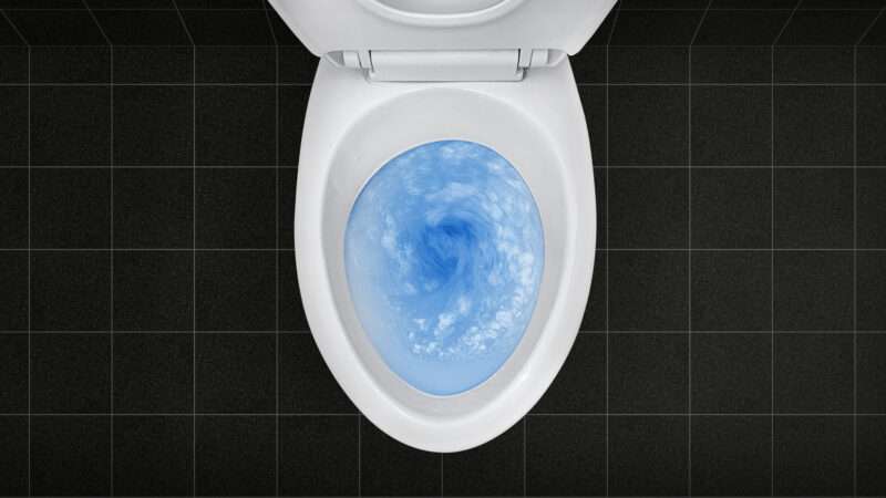 pantherphotos11187588 | supachai/Newscom