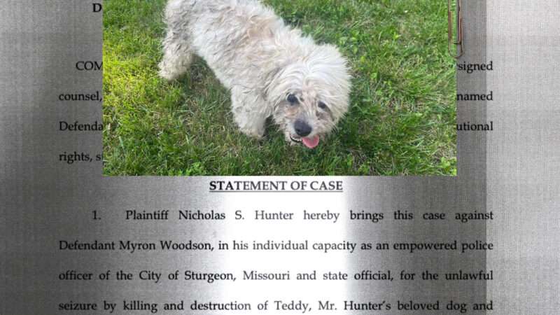 dog and lawsuit text | Illustration: Eddie Marshall