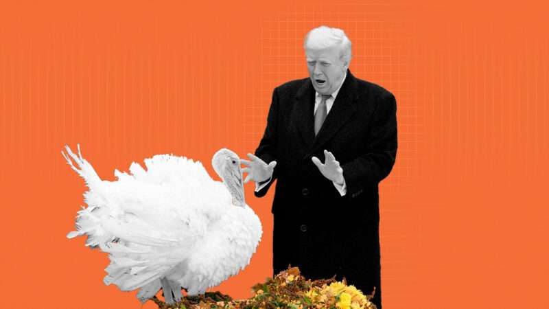 Donald Trump is seen with a turkey in the Rose Garden at the White House | Illustration: Eddie Marshall | Abaca Press | Gripas Yuri | Abaca | Sipa USA | Newscom