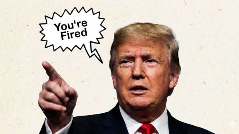 A tan background with an image of Donald Trump pointing. A text bubble reads, "You're Fired." | Illustration: Eddie Marshall | Nano Banana