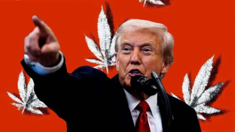 Donald Trump and cannabis | Illustration: Eddie Marshall | CNP | AdMedia | Newscom | Midjourney