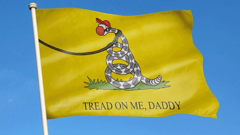 Altered Gadsen flag with the snake in a ball gag, and the text reading "Tread on me, Daddy" | Illustration: Adani Samat