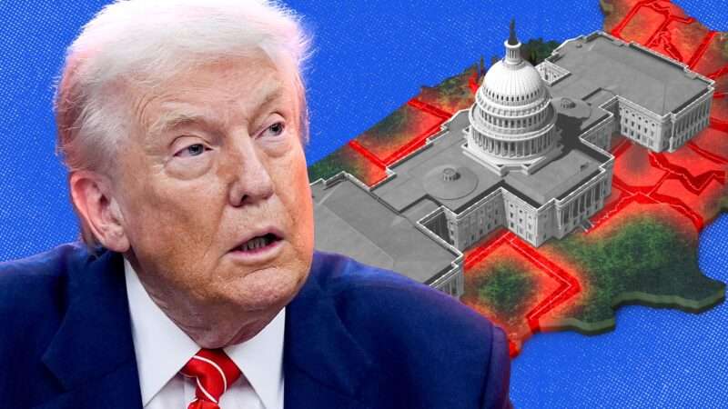 President Donald Trump | Illustration: Adani Samat, Envato. Photo by CNP/ADM/Capital Pictures / MEGA / Newscom/UCGBR/Newscom