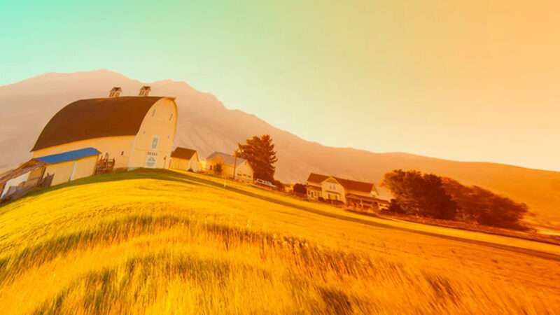 minisyesteryear | Knopf