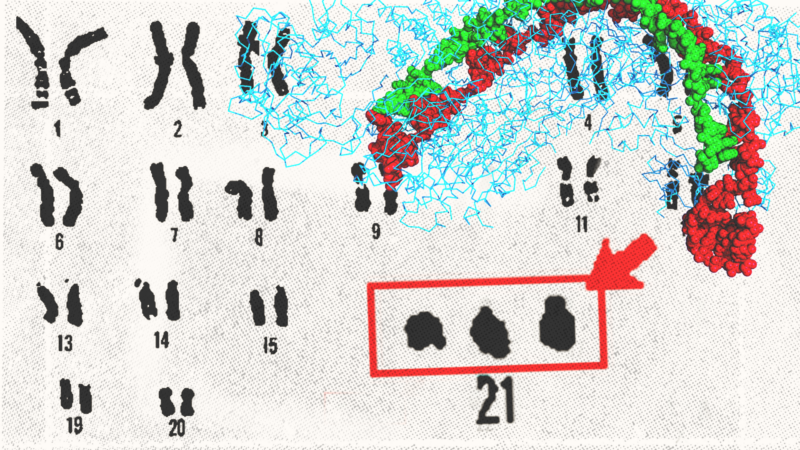 CRISPR genome editing | Adani Samat / Boghog