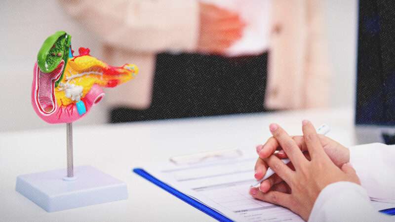 A model pancreas sits on a table next to some papers and someone's clasped hands. The lower half of a standing person is seen behind the table. | Panuwat Dangsungnoen/Dreamstime