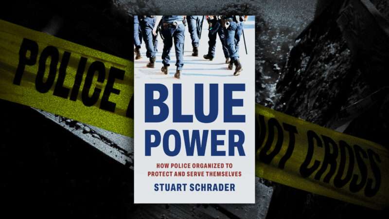 Blue Power book cover | llustration: Olivier Le Queinec /Dreamstime/Blue Power/Basic Books