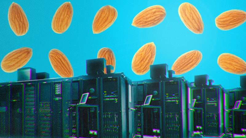 Data centers with almonds above them | Adani Samat/Envato