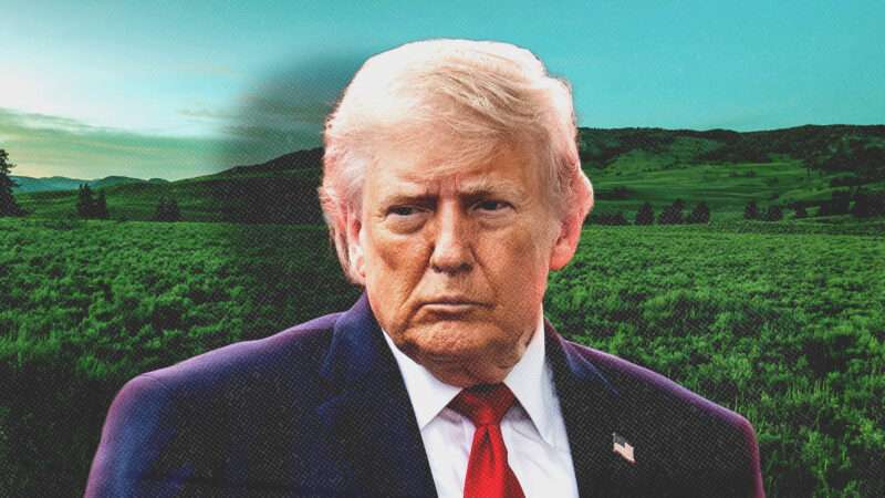 President Donald Trump, with natural land behind him | Illustration: imageBROKER/Alex Grichenko/Newscom/AdMedia/SIPA/Newscom