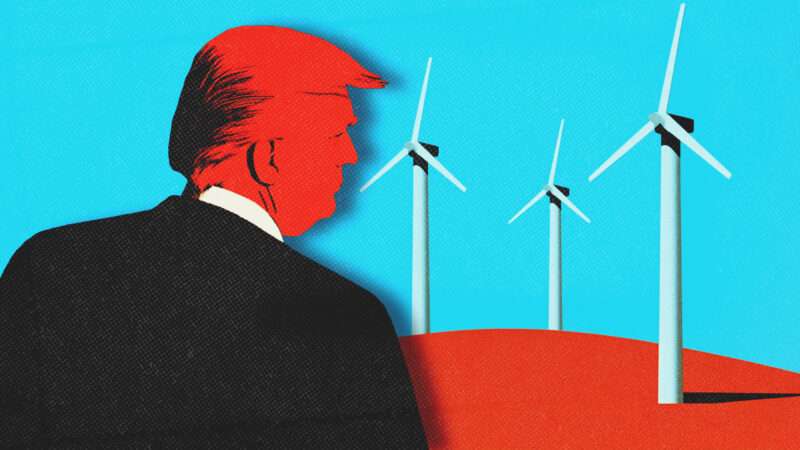 a drawing of President Donald Trump looking at windmills | Midjourney