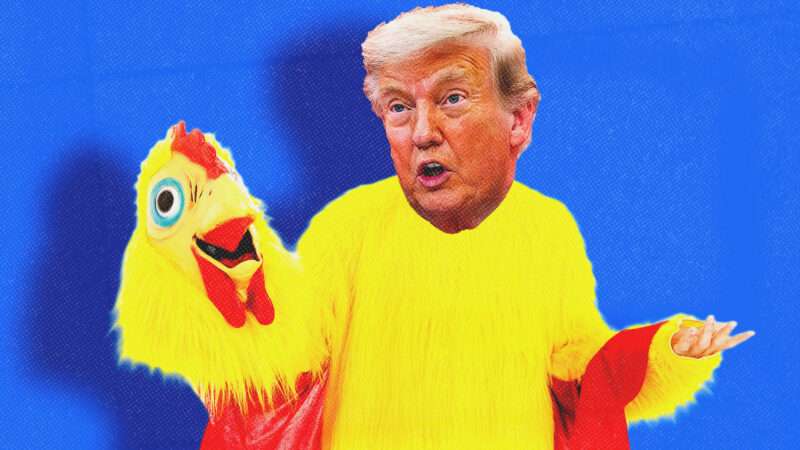 President Donald Trump in a chicken costume | Illustration: Brian T. Young/Dreamstime/Aaron Schwartz - via CNP/Polaris/Newscom