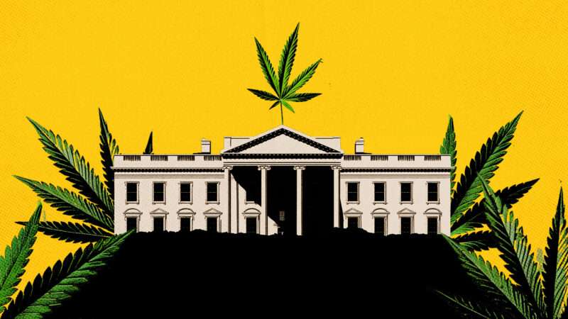 White House surrounded by marijuana leaves | Photo: Kip02kas/Dreamstime. Illustration: Fatima Ruiz, Midjourney