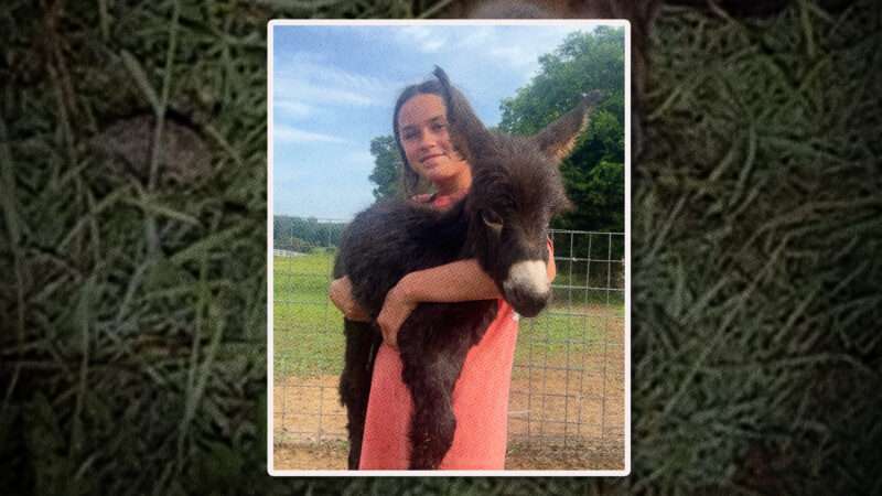 Young girl holding petting zoo donkey named HeeHaw | Hannah Israel/GoFundMe.