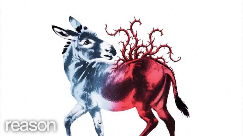 Thorny red vines growing out of a donkey's back. | Illustration by Lex Villena