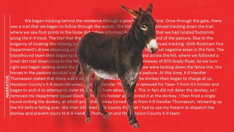 donkey | Illustration: Cedartown Police Department incident report (Case #26-7475)/Lifeonwhite/Envato