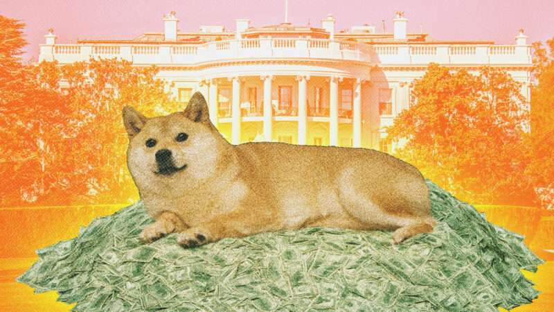 DOGE dog on pile of cash in front of White House | Illustration: Mkopka/Dreamstime/Midjourney